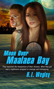 Moon Over Maalaea Bay by H. L. Wegley
